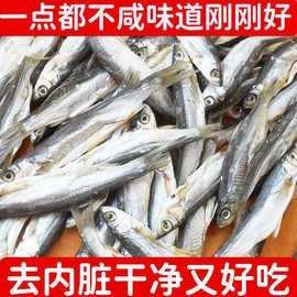 翹嘴龍魚的價格是多少：翹嘴魚價格有何差異呼倫貝爾大草原的貓咪們養(yǎng)殖要點
