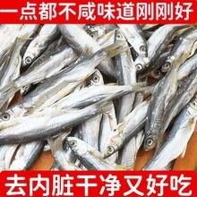 翹嘴龍魚的價格是多少：翹嘴魚價格有何差異呼倫貝爾大草原的貓咪們養(yǎng)殖要點