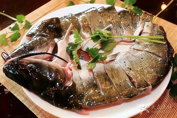 如何區分黔魚和鯰魚？：黔魚和鯰魚有什么區別