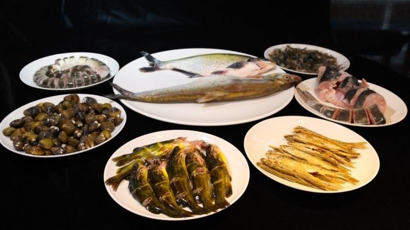 古龍魚莊有哪些特色活動：古龍魚莊的河鮮如何烹飪古龍魚莊的農家菜有哪些推薦