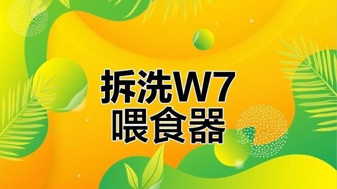 給我推薦一些適合恐龍魚的自動投喂器：恐龍魚（六角恐龍魚）的自動投喂器推薦及相關信息