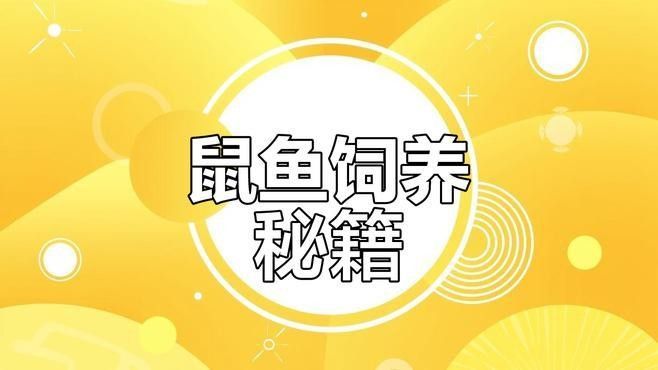 鼠魚有哪些品種推薦？：初次飼養鼠魚的新手