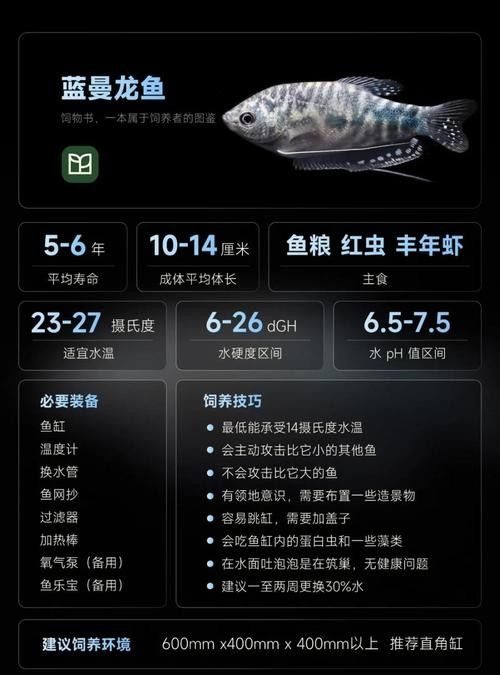 給我一張藍曼龍魚的照片:藍曼龍魚養護全攻略 龍魚百科 第10張 給我一張藍曼龍魚的照片:藍曼龍魚養護全攻略 給我一張藍曼龍魚的照片:藍曼龍魚養護全攻略 龍魚百科 第10張