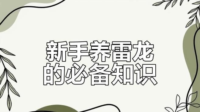 巴卡雷龍成體喂什么食物好？：物種研究員阿東雷龍魚飼養全攻略雷龍魚飼養全攻略