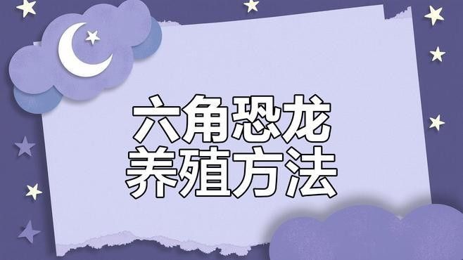 六角恐龍魚多久喂一次？：六角恐龍魚的喂食頻率