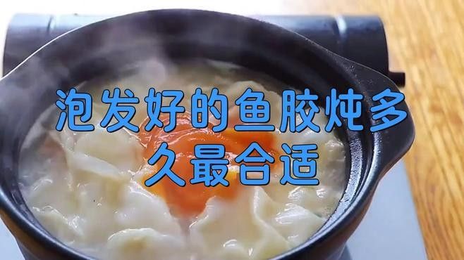 金龍魚膠泡發后需要燉多久：金龍魚膠泡發后的燉煮時間需根據厚度和烹飪方式調整 金龍魚膠泡發后需要燉多久：金龍魚膠泡發后的燉煮時間需根據厚度和烹飪方式調整 龍魚百科 第2張