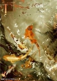 鯉魚還有哪些別名：鯉魚作為廣泛分布的淡水魚類擁有豐富的別稱體系