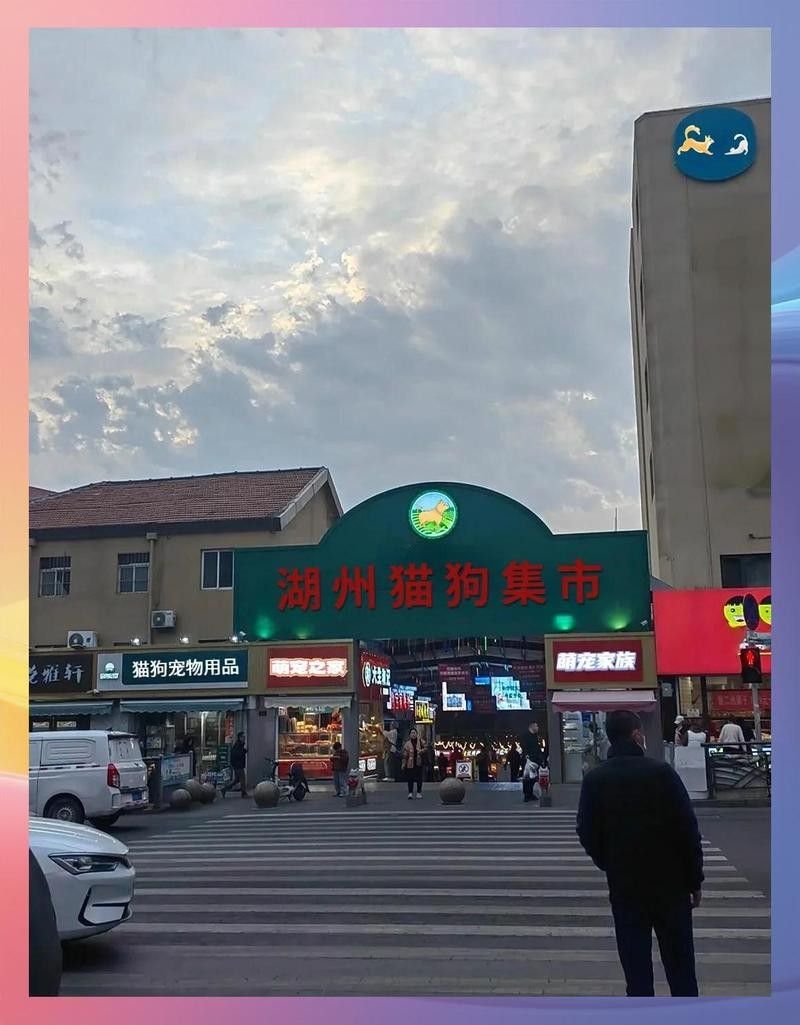 湖州寵物市場營業時間：湖州寵物市場的營業時間