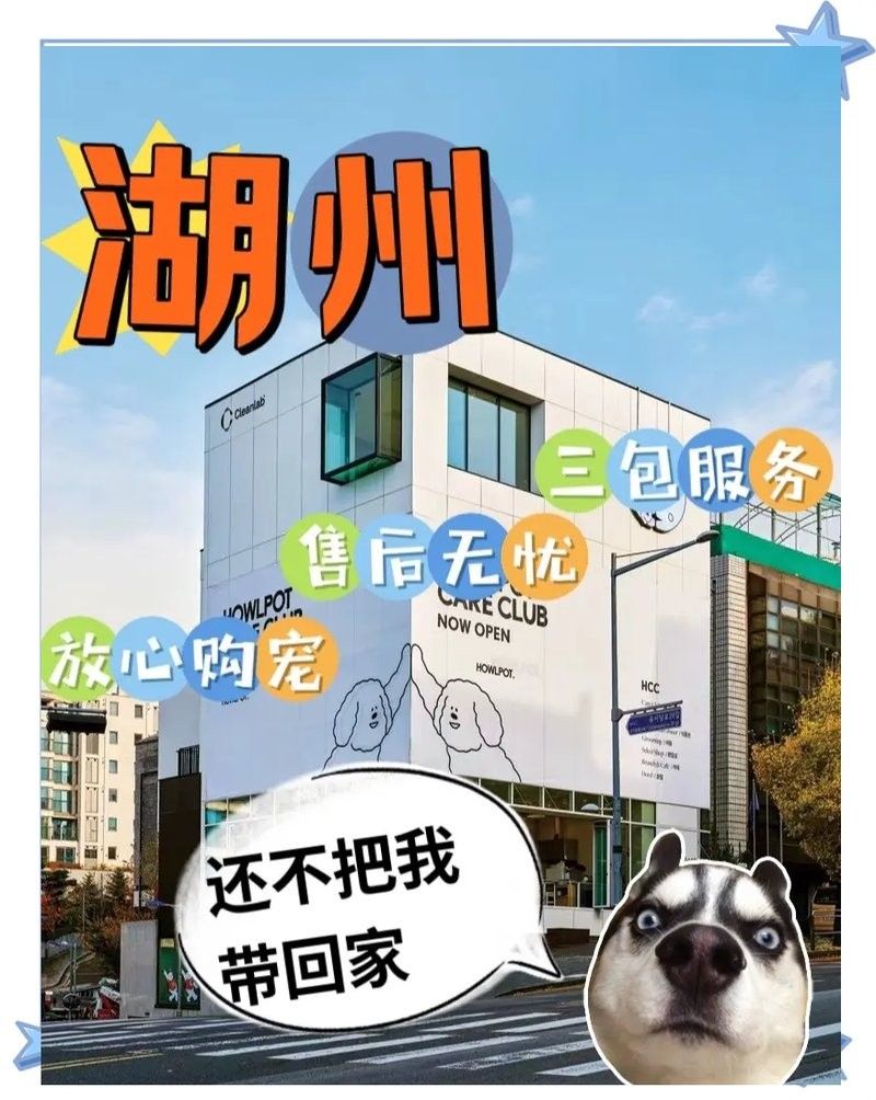 湖州寵物市場營業時間：湖州寵物市場的營業時間