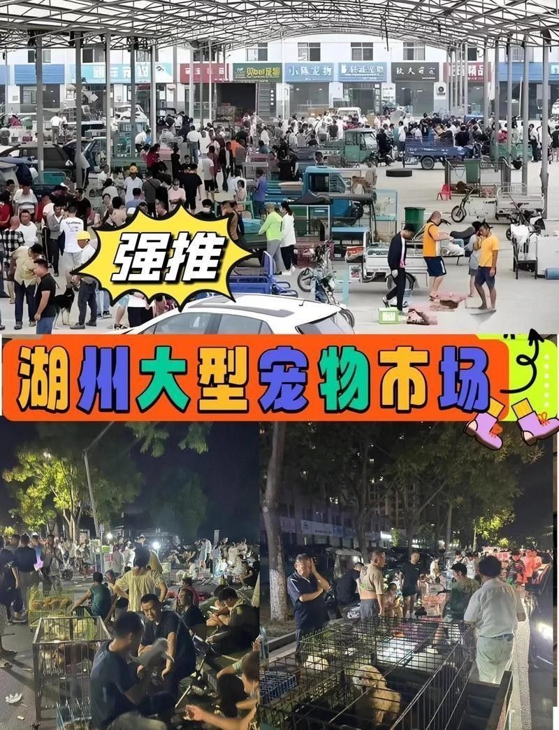 湖州寵物市場營業時間：湖州寵物市場的營業時間