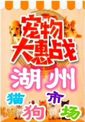 湖州寵物市場營業時間：湖州寵物市場的營業時間