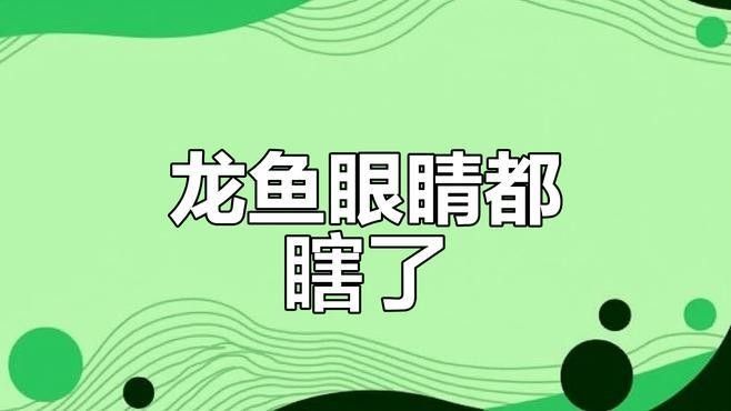 雷龍魚眼睛失明可以恢復嗎？：雷龍魚眼睛失明（如蒙眼病）的恢復可能性與治療措施密切相關