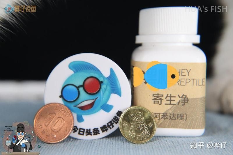 蛋白蟲對龍魚有害嗎？：蛋白蟲對龍魚的危害 蛋白蟲對龍魚有害嗎？：蛋白蟲對龍魚的危害 龍魚百科 第8張
