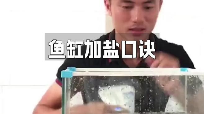 如何預防金龍魚鹽放多？：養金魚多久放一次鹽
