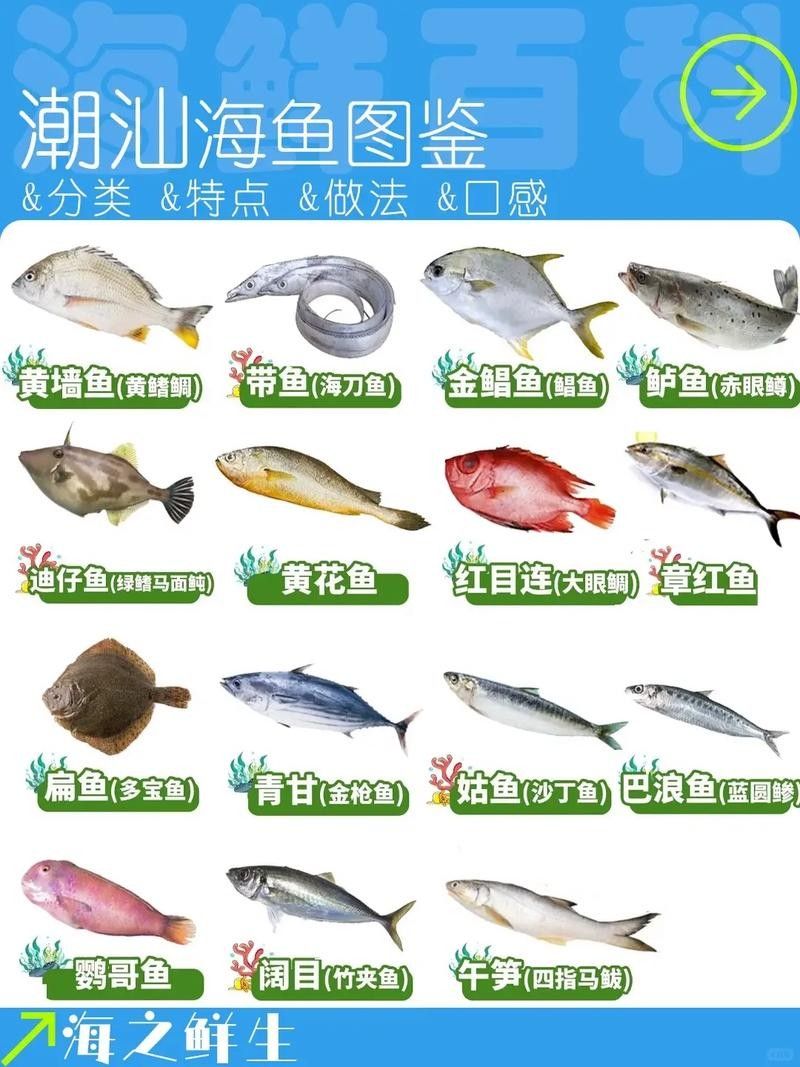 哪種潮汕龍魚品種最稀有？：潮汕地區的龍魚養殖中白化紅龍和辣椒紅龍的價格差異大嗎 哪種潮汕龍魚品種最稀有？：潮汕地區的龍魚養殖中白化紅龍和辣椒紅龍的價格差異大嗎 龍魚百科 第1張