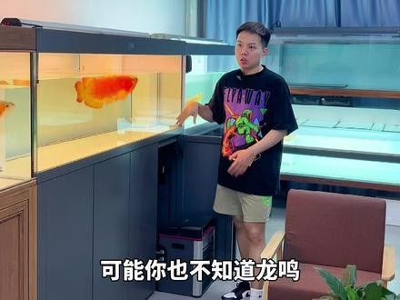 哪種潮汕龍魚品種最稀有？：潮汕地區的龍魚養殖中白化紅龍和辣椒紅龍的價格差異大嗎 哪種潮汕龍魚品種最稀有？：潮汕地區的龍魚養殖中白化紅龍和辣椒紅龍的價格差異大嗎 龍魚百科 第7張