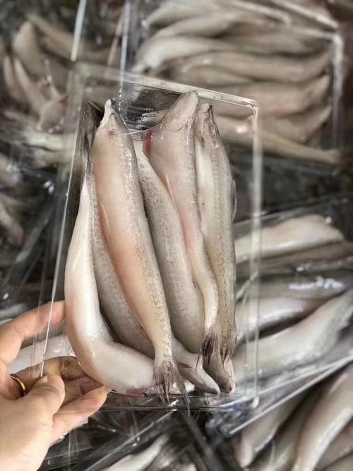 哪種潮汕龍魚品種最稀有？：潮汕地區的龍魚養殖中白化紅龍和辣椒紅龍的價格差異大嗎 哪種潮汕龍魚品種最稀有？：潮汕地區的龍魚養殖中白化紅龍和辣椒紅龍的價格差異大嗎 龍魚百科 第5張
