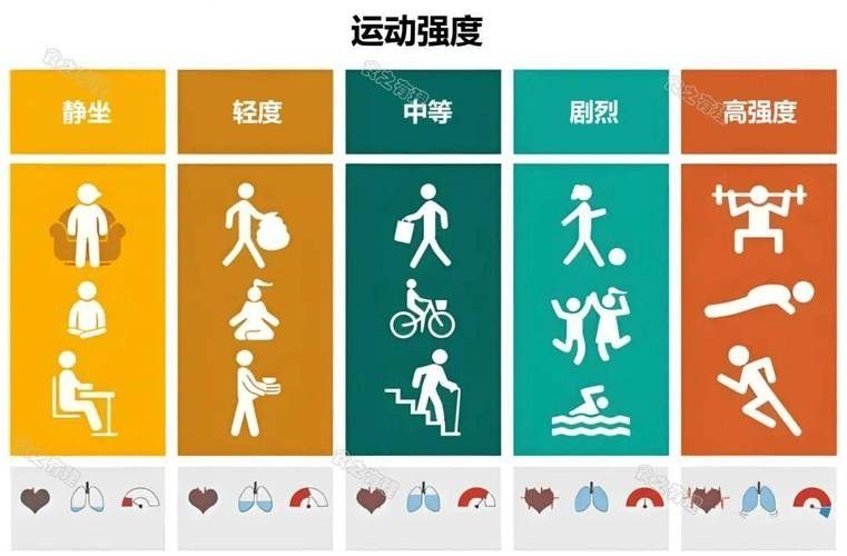 停食期間運(yùn)動(dòng)強(qiáng)度如何控制？：停食期間如何控制運(yùn)動(dòng)強(qiáng)度