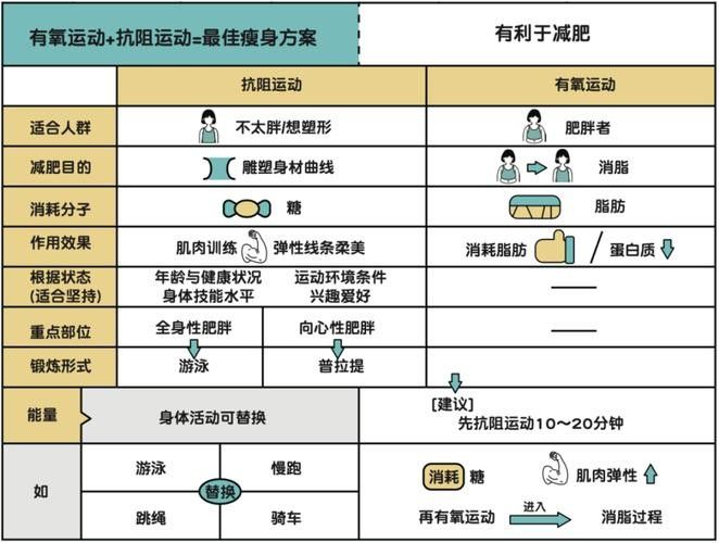 停食期間運(yùn)動(dòng)強(qiáng)度如何控制？：停食期間如何控制運(yùn)動(dòng)強(qiáng)度