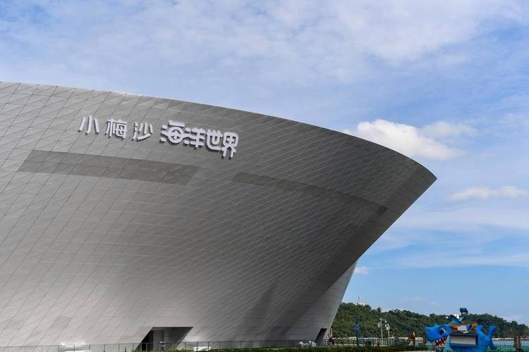鹽田哪個水族館龍魚好?祥龍魚場龍魚:極品祥龍魚場·進口元寶鳳凰魚飼養全指南 龍魚百科 第3張 鹽田哪個水族館龍魚好?祥龍魚場龍魚:極品祥龍魚場·進口元寶鳳凰魚飼養全指南 鹽田哪個水族館龍魚好?祥龍魚場龍魚:極品祥龍魚場·進口元寶鳳凰魚飼養全指南 龍魚百科 第3張