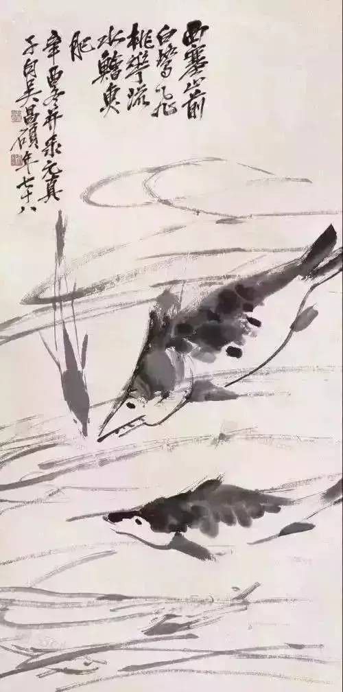 金龍魚視頻中哪個作者最受歡迎：《長城杯龍魚大賽》評判標準變更系列視頻單集觀看量2114次1