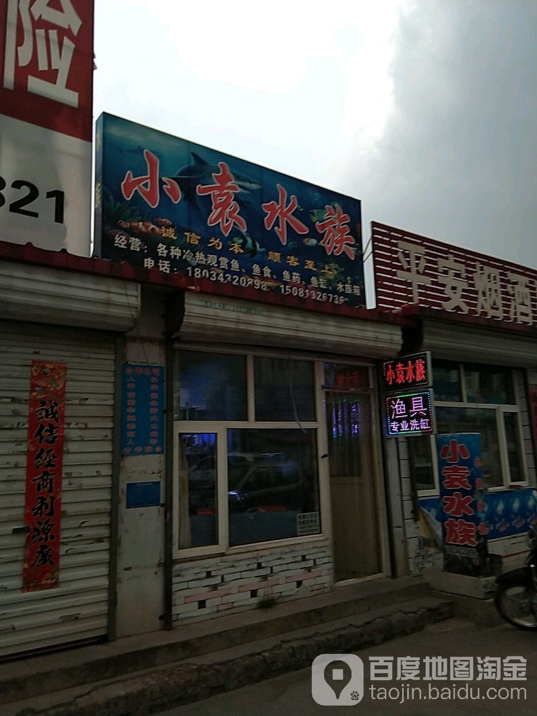 張家口橋西哪個水族館龍魚好？祥龍魚場龍魚：小袁水族祥龍魚場
