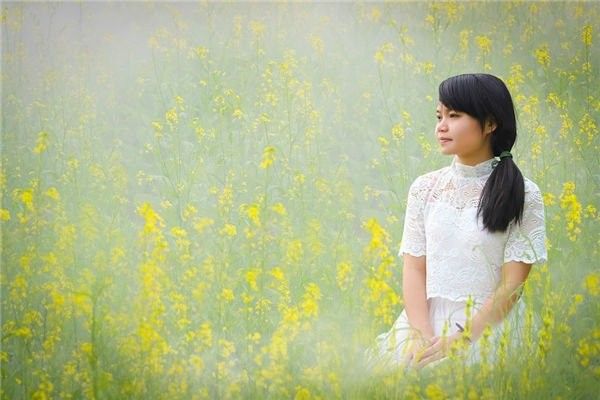 屬龍人2024年感情運勢如何：2024年屬龍人的感情運勢如何？