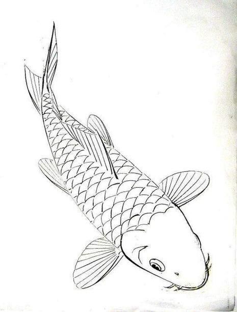 給我一張龍魚的簡筆畫圖片示例：龍魚簡筆畫的繪制步驟