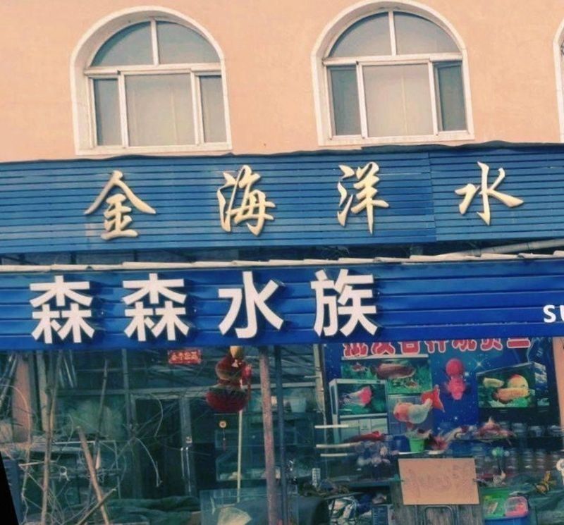 雞西龍魚批發市場在哪里：雞西市目前可查詢到的龍魚相關批發市場