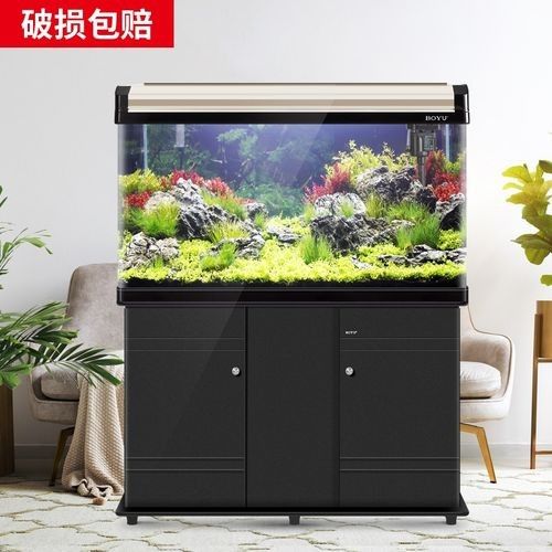 博宇龍魚缸有哪些型號可選？：博宇魚缸安裝全攻略