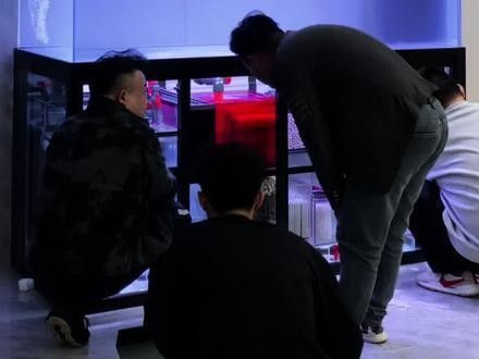 博宇龍魚缸有哪些型號可選？：博宇魚缸安裝全攻略