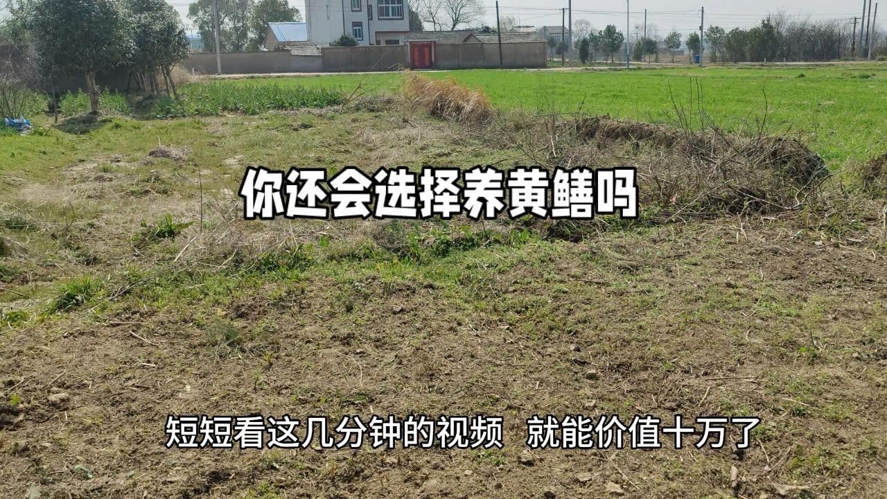 如何選擇合適的防逃網(wǎng)？：鋼絲材質(zhì),實(shí)芯隱形防護(hù)網(wǎng),03:00/