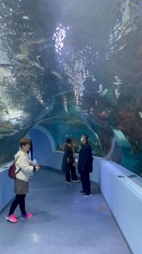 東昌府區佰利水族館的評價如何？：東昌府區佰利水族館怎么樣？