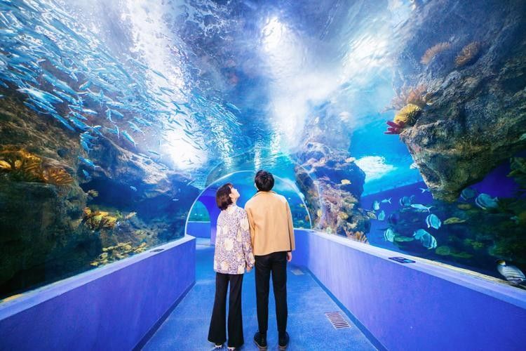 東昌府區佰利水族館的評價如何？：東昌府區佰利水族館怎么樣？