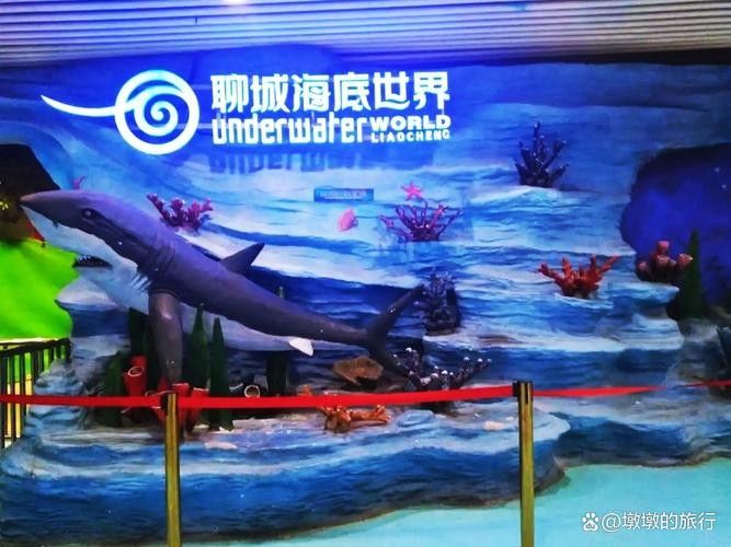 東昌府區佰利水族館的評價如何？：東昌府區佰利水族館怎么樣？