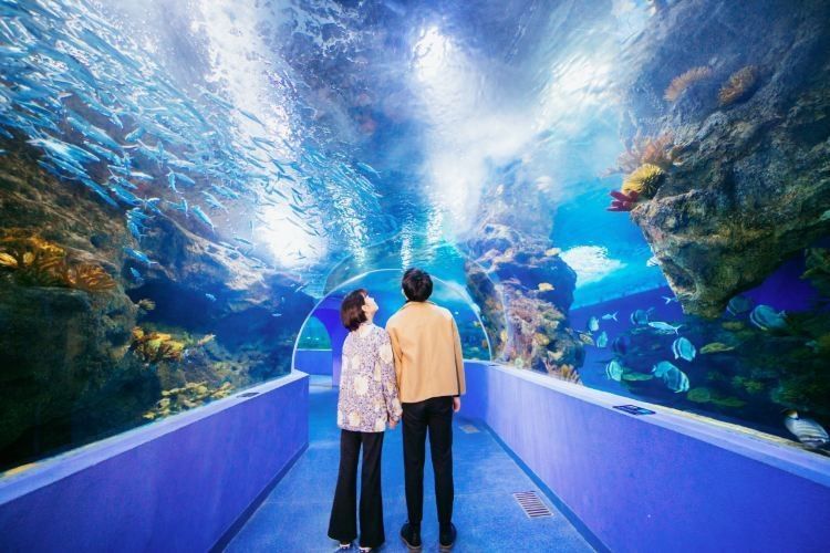 東昌府區佰利水族館的評價如何？：東昌府區佰利水族館怎么樣？