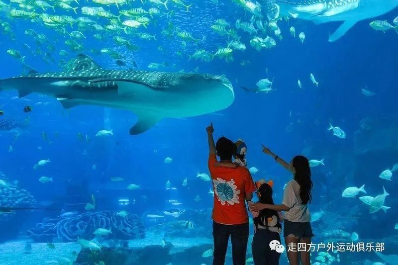 東昌府區佰利水族館的評價如何？：東昌府區佰利水族館怎么樣？