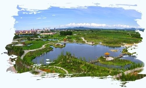 雷龍魚在哈爾濱的分布范圍：雷龍魚在哈爾濱地區(qū)的分布情況