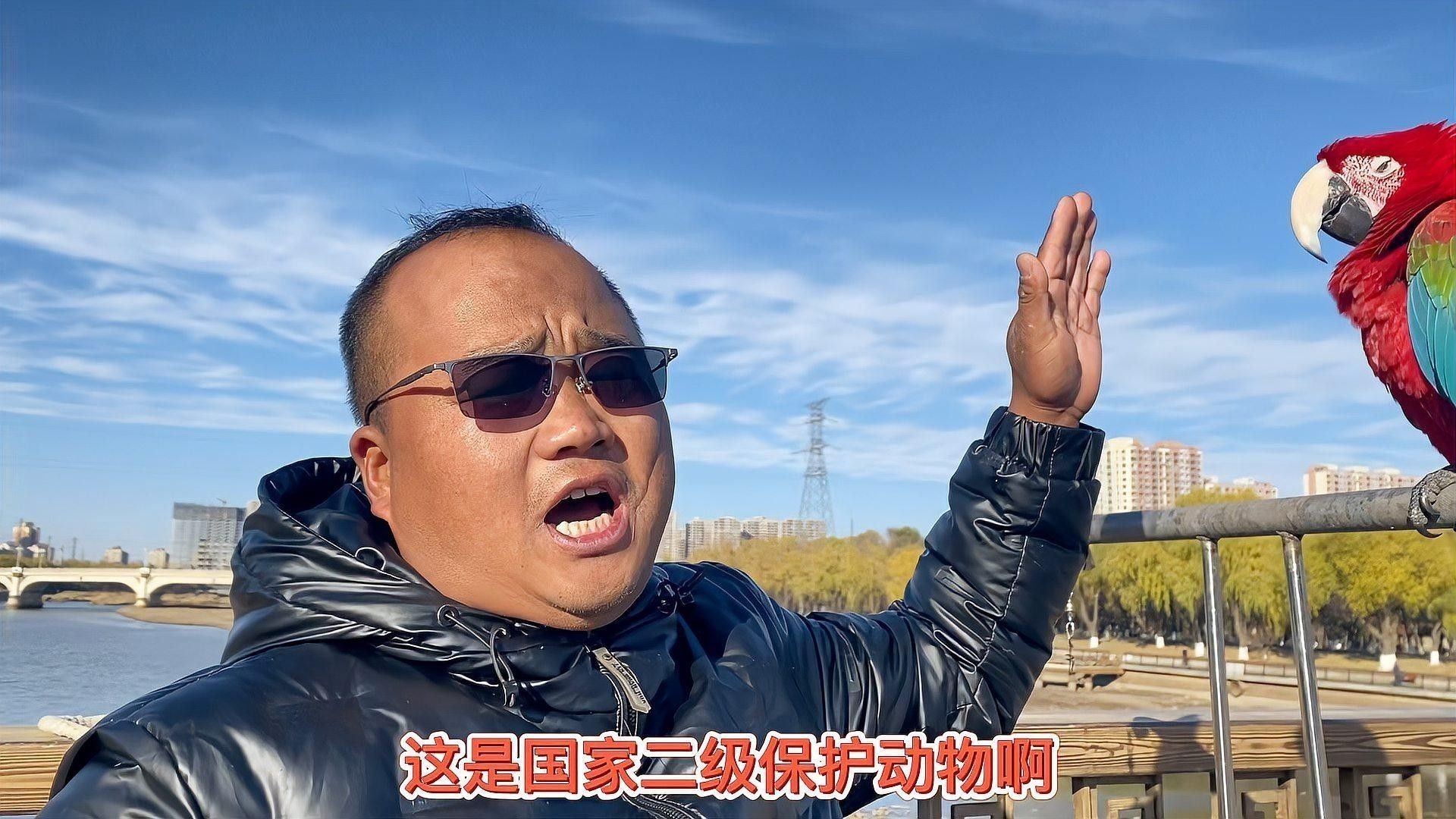 如何合法購買巴卡雷龍魚？：5月1日起購買巴卡雷龍魚（假設(shè)為保護物種）需嚴格遵守以下規(guī)定 如何合法購買巴卡雷龍魚？：5月1日起購買巴卡雷龍魚（假設(shè)為保護物種）需嚴格遵守以下規(guī)定 龍魚百科 第3張