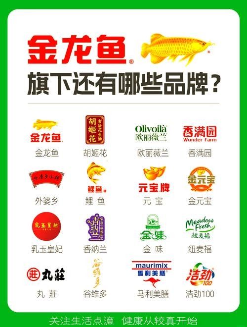如何投遞溫州金龍魚的簡歷:投遞溫州金龍魚簡歷的渠道和注意事項