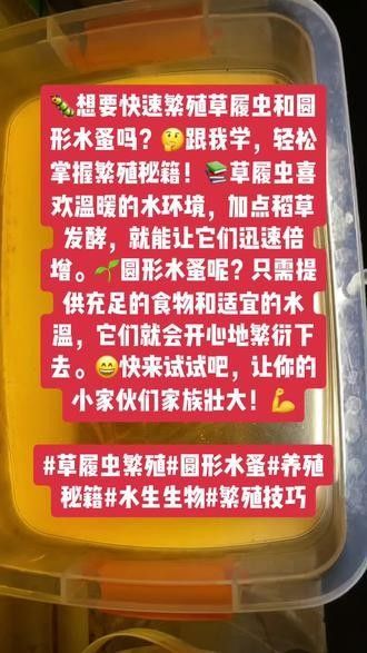 如何人工繁殖虎紋恐龍王魚？：虎紋恐龍王魚的最佳繁殖季節(jié)是什么時(shí)候是什么時(shí)候