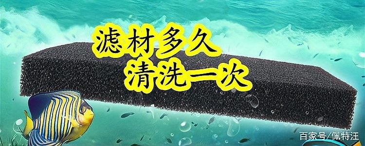 龍魚底濾濾材多久清洗一次：魚缸里的生化濾材多長(zhǎng)時(shí)間洗一次為好