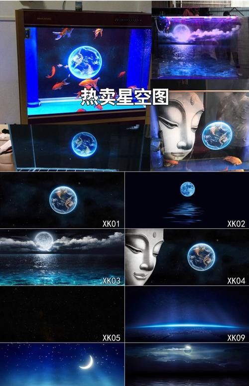 如何選擇適合金龍魚魚缸的背景圖片：金龍魚在不同生長階段對背景的需求差異顯著需求及注意事項
