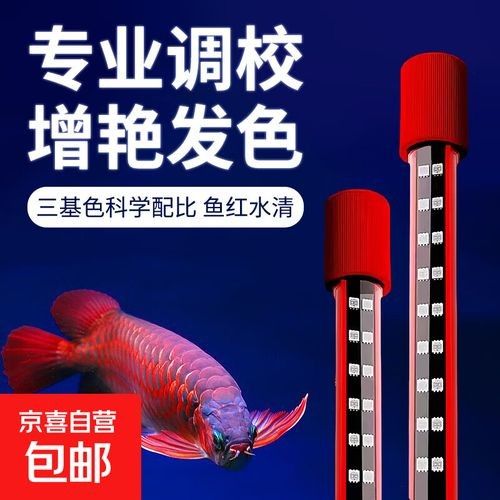 紅龍魚燈光價格范圍：紅龍魚專用燈價格范圍