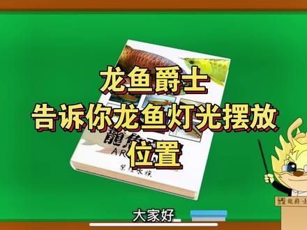 龍魚側燈安裝教程：龍魚側燈安裝全流程,巴黎街坊志,一燈三用:龍魚發色增艷的秘密武器