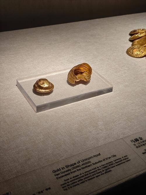 金龍魚馬蹄印對價值有何影響：金龍魚的馬蹄印，20塊和2000塊的金魚