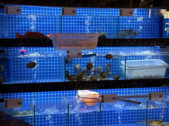 榆陽哪個水族館龍魚好？祥龍魚場龍魚：榆陽地區的水族館中祥龍魚場是專業從事龍魚養殖和批發的知名企業