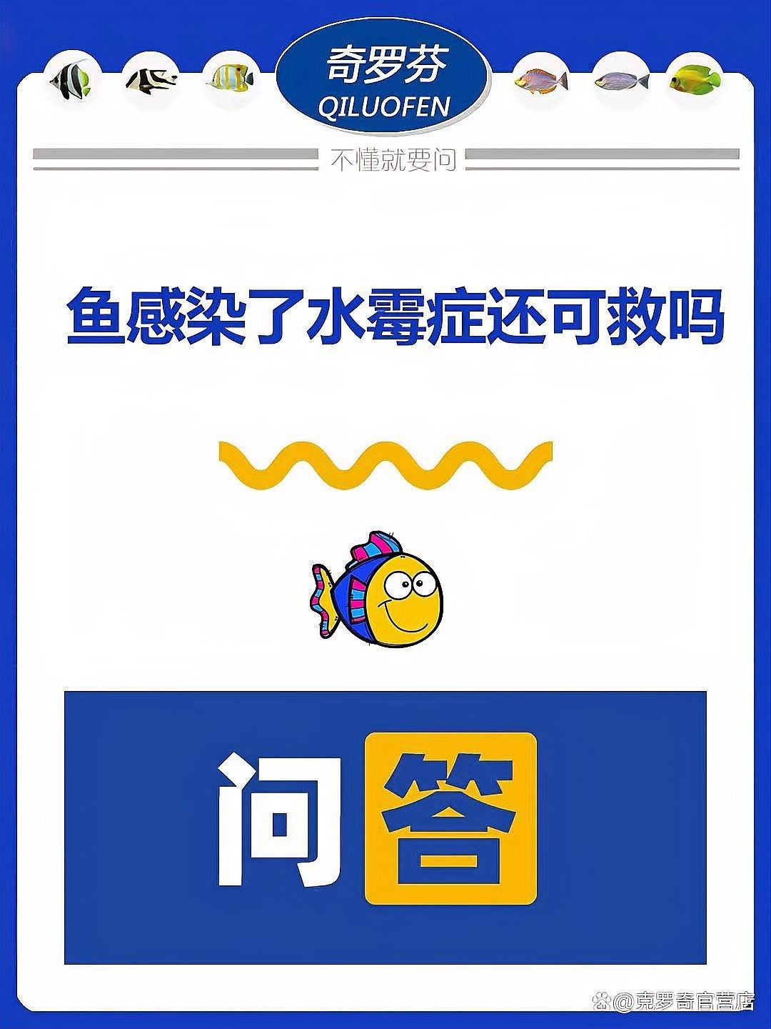 龍魚黑霉病的治療方法有哪些：魚老農談三農,魚感染了水霉病還可救嗎