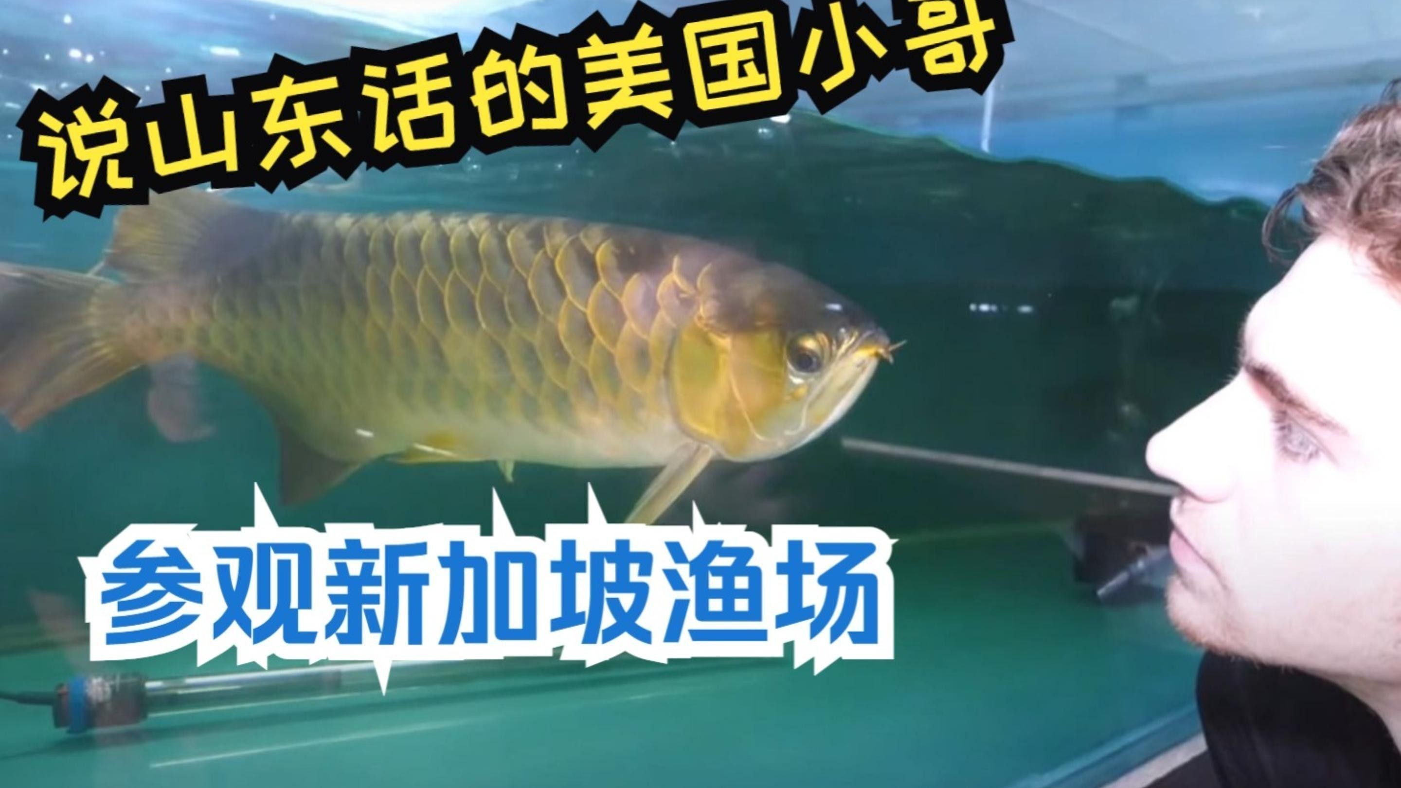 該漁場提供哪些龍魚品種？：新加坡東湖龍魚漁場