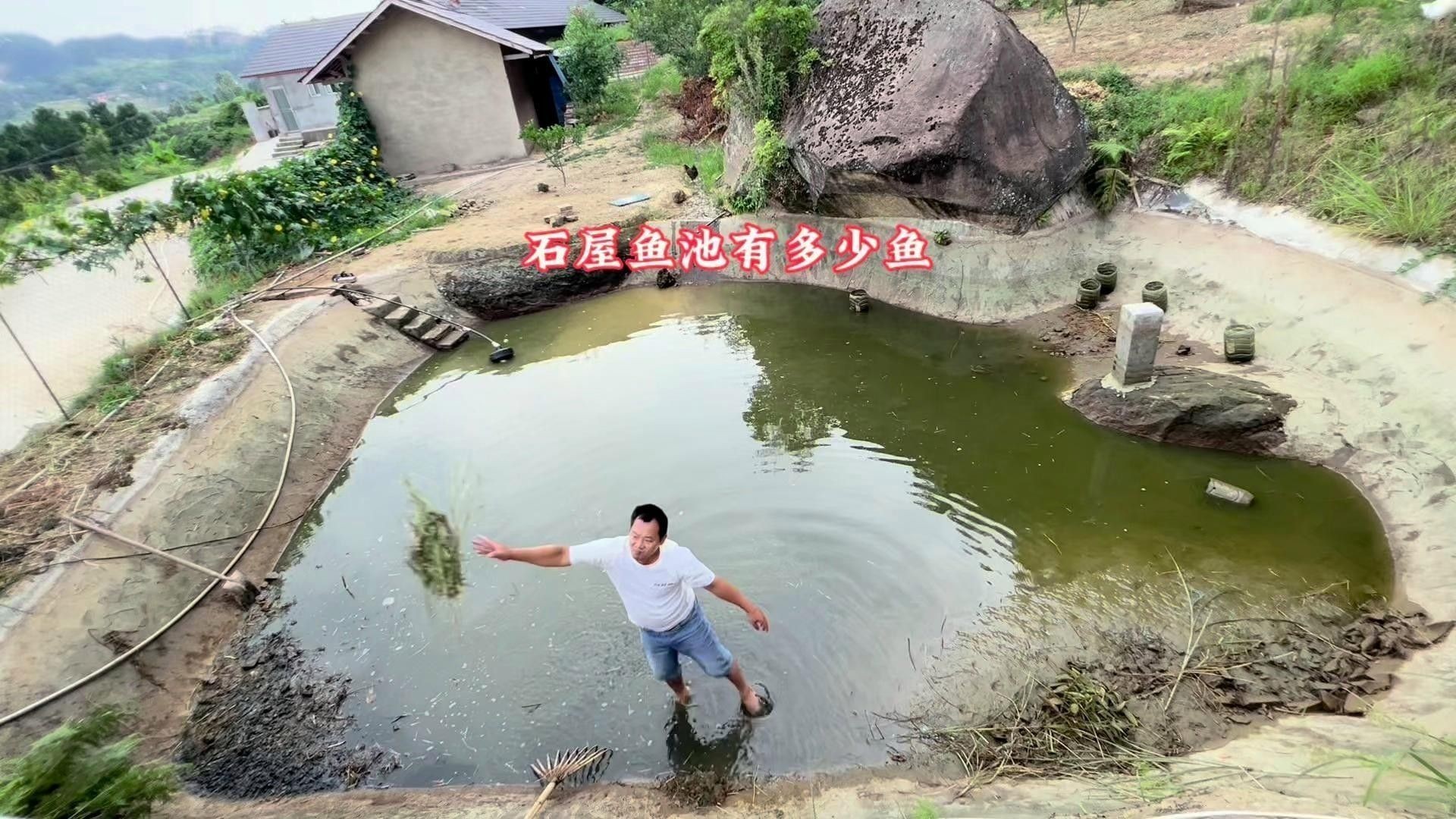 六角龍魚(yú)換水后多久適應(yīng)：六角龍魚(yú)換水后多久可以喂食寵物小景